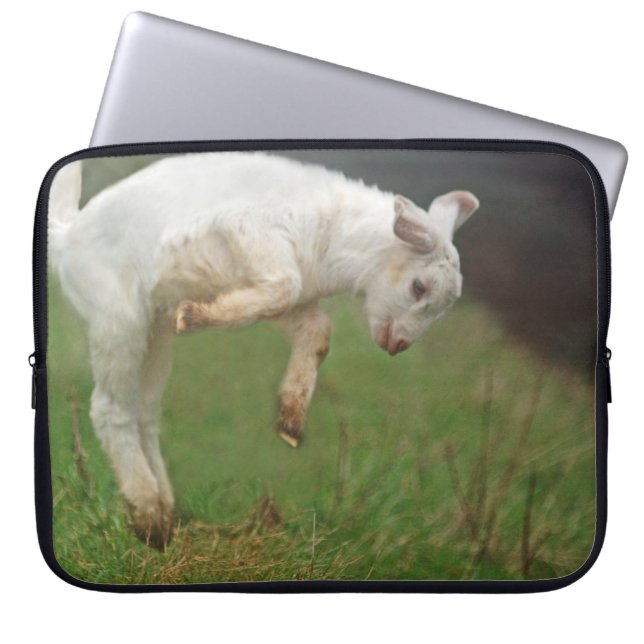 Funda Para Portátil Cabra blanca del bebé divertido de la cabra que (Frente)