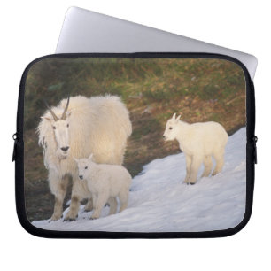 Funda Para Portátil cabras montesas