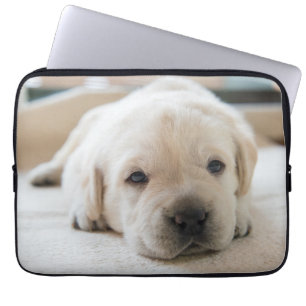 Funda Para Portátil Cachorro dorado dorado