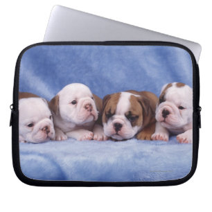 Funda Para Portátil cachorros de bulldog