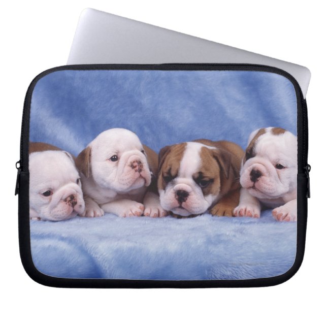 Funda Para Portátil cachorros de bulldog (Frente)