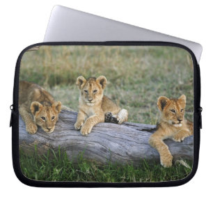 Funda Para Portátil Cachorros de León en Tronco