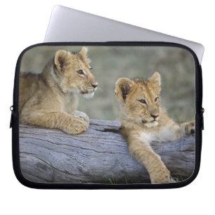 Funda Para Portátil Cachorros de León en Tronco