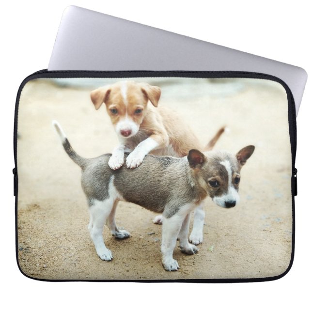 Funda Para Portátil Cachorros en la playa (Frente)