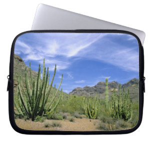 Funda Para Portátil Cactus del desierto en el Monumento Nacional Organ