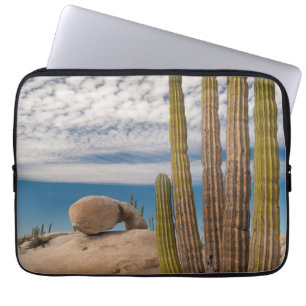 Funda Para Portátil Cactus En Escenario Desértico