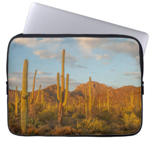 Funda Para Portátil Cactus saguaro al atardecer, Arizona