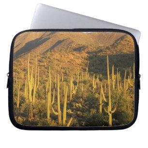 Funda Para Portátil Cactus saguaro en el Parque Nacional Saguaro cerca