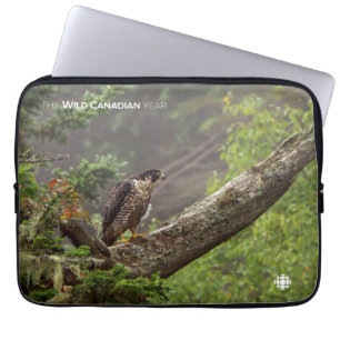 Funda Para Portátil Caída - Halcón Peregrino