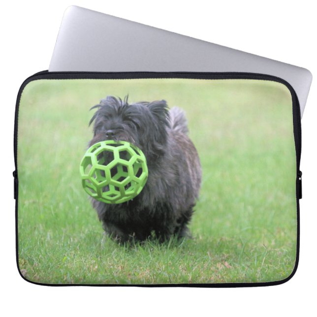 Funda Para Portátil Cairn terrier (Frente)