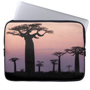 Funda Para Portátil Callejón de Baobabs, Madagascar, Morondava, África