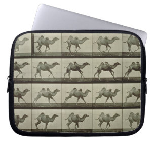 Funda Para Portátil Camello, placa de la "locomoción animal", 1887