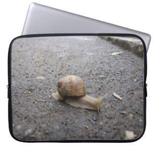 Funda Para Portátil Caminata de caracoles