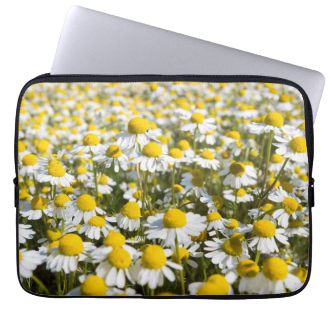Funda Para Portátil Campo Chamomile, Hungría (Frente)