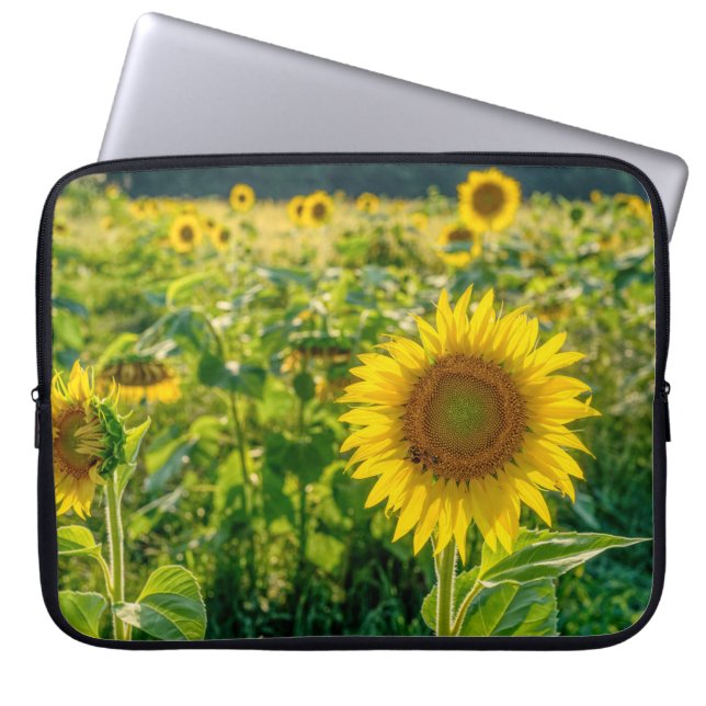 Funda Para Portátil Campo de girasol dorado (Frente)
