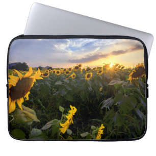 Funda Para Portátil Campo de girasoles florecientes
