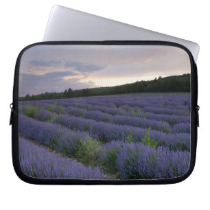 Funda Para Portátil Campo de la lavanda en la puesta del sol