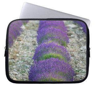 Funda Para Portátil Campo de lavanda, Provenza, Francia