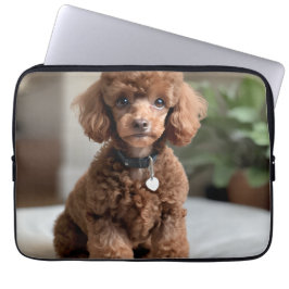 Funda Para Portátil Caniche Enano 2