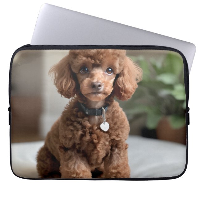 Funda Para Portátil Caniche Enano 2 (Frente)