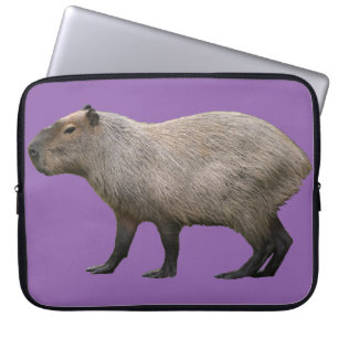 Funda Para Portátil Capibara