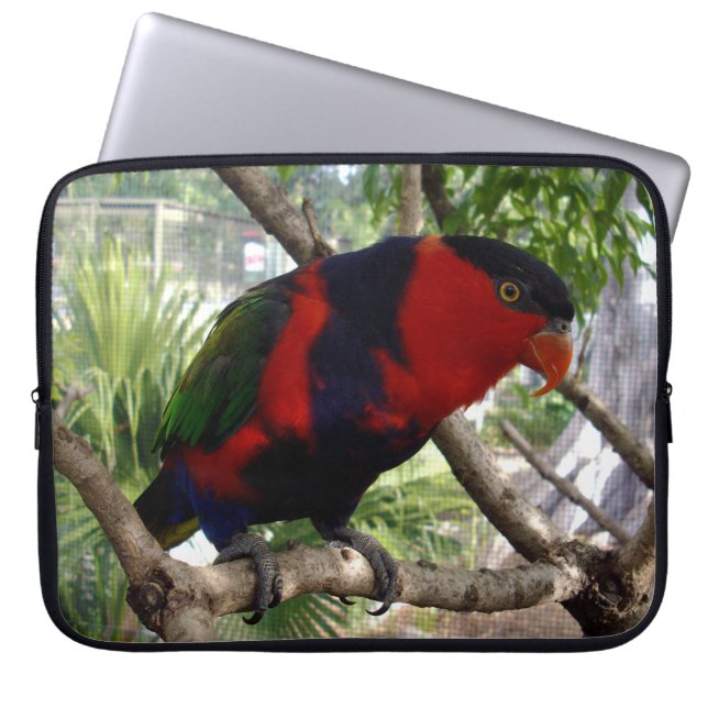 Funda Para Portátil Cara Cheeky Rainbow Lorikeet, (Frente)