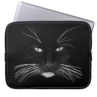 Cara de gato negro