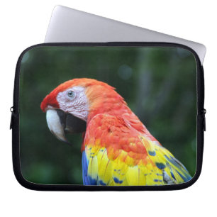 Funda Para Portátil cara escarlata de macao