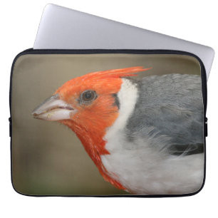 Funda Para Portátil Cardenal con cresta rojo