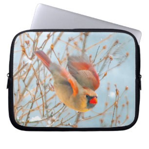 Funda Para Portátil Cardenal norte volando - Fotografía original