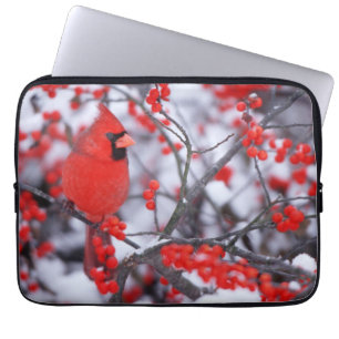 Funda Para Portátil Cardenal norteño macho, Invierno, IL