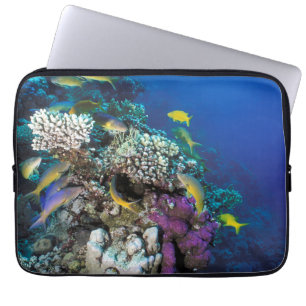 Funda Para Portátil Cardumen de Salmonetes alrededor de pequeño coral