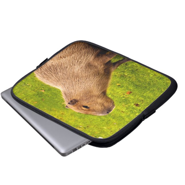 Funda Para Portátil Carpincho (Inferior anverso)