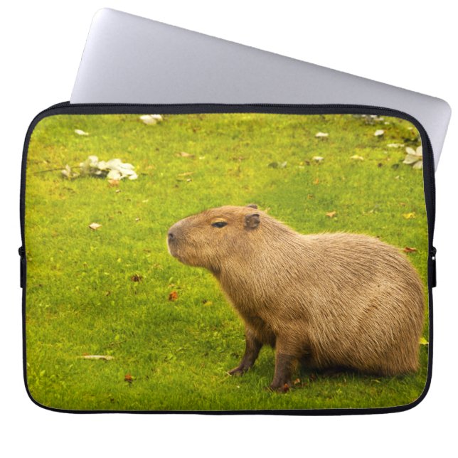 Funda Para Portátil Carpincho (Frente)