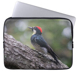 Funda para portátil Carpintero de Bellota | Arte d