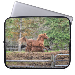 Funda Para Portátil Carreras espiritual de caballo Dun Pony y Chestnut
