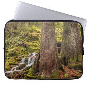 Funda Para Portátil Cascada White Branch Falls, Oregon Cascades, Orego