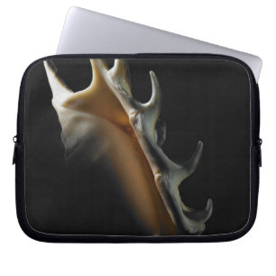Funda Para Portátil Cáscara de la concha
