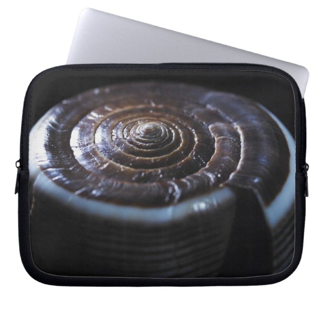 Funda Para Portátil Cáscara del cono (Frente)