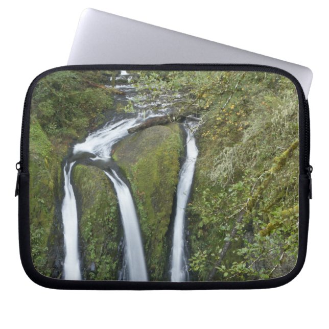 Funda Para Portátil Cataratas triples, desfiladero del río Columbia (Frente)