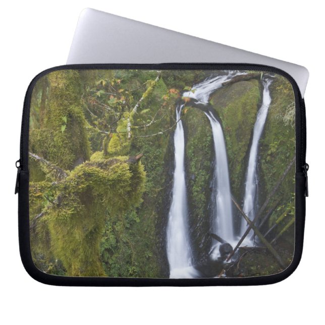 Funda Para Portátil Cataratas triples, desfiladero del río Columbia (Frente)