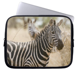 Funda Para Portátil Cebra en el Parque Nacional Meru, Kenia.