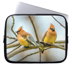 Funda Para Portátil Cedar Waxwing - Fotografía original
