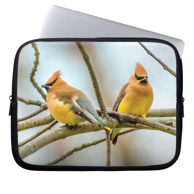 Funda Para Portátil Cedar Waxwing - Fotografía original (Frente)