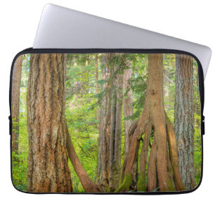 Funda Para Portátil Cedro rojo occidental Estado de Washington