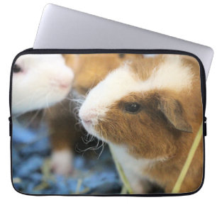 Funda Para Portátil Cerdo