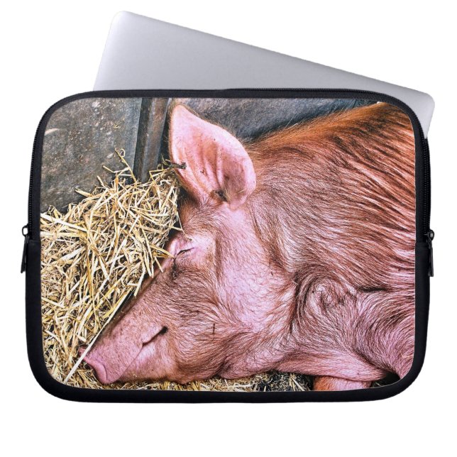 FUNDA PARA PORTÁTIL CERDO CUTIDO (Frente)