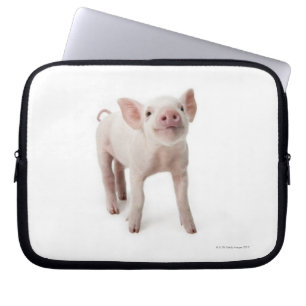Funda Para Portátil Cerdo que se coloca de mirada para arriba