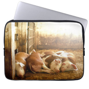 Funda Para Portátil Cerdos Snuggling de las imágenes el de Getty