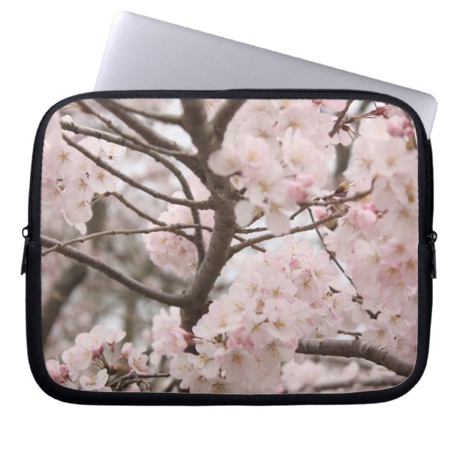 Funda Para Portátil Cerezo en flor (Frente)
